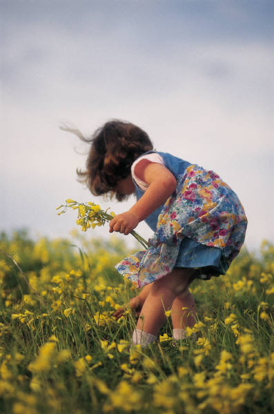 girl picking flowers